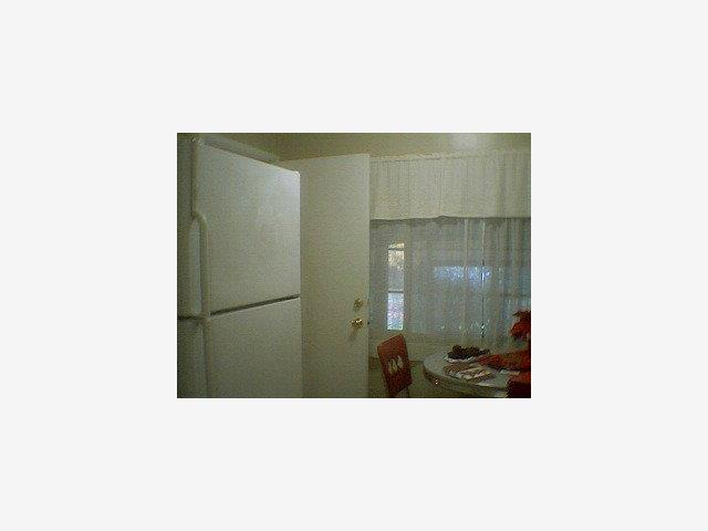 10712 Randy Lane Cupertino, CA 95014 - Photo 5 of 6 Gallery Image 5