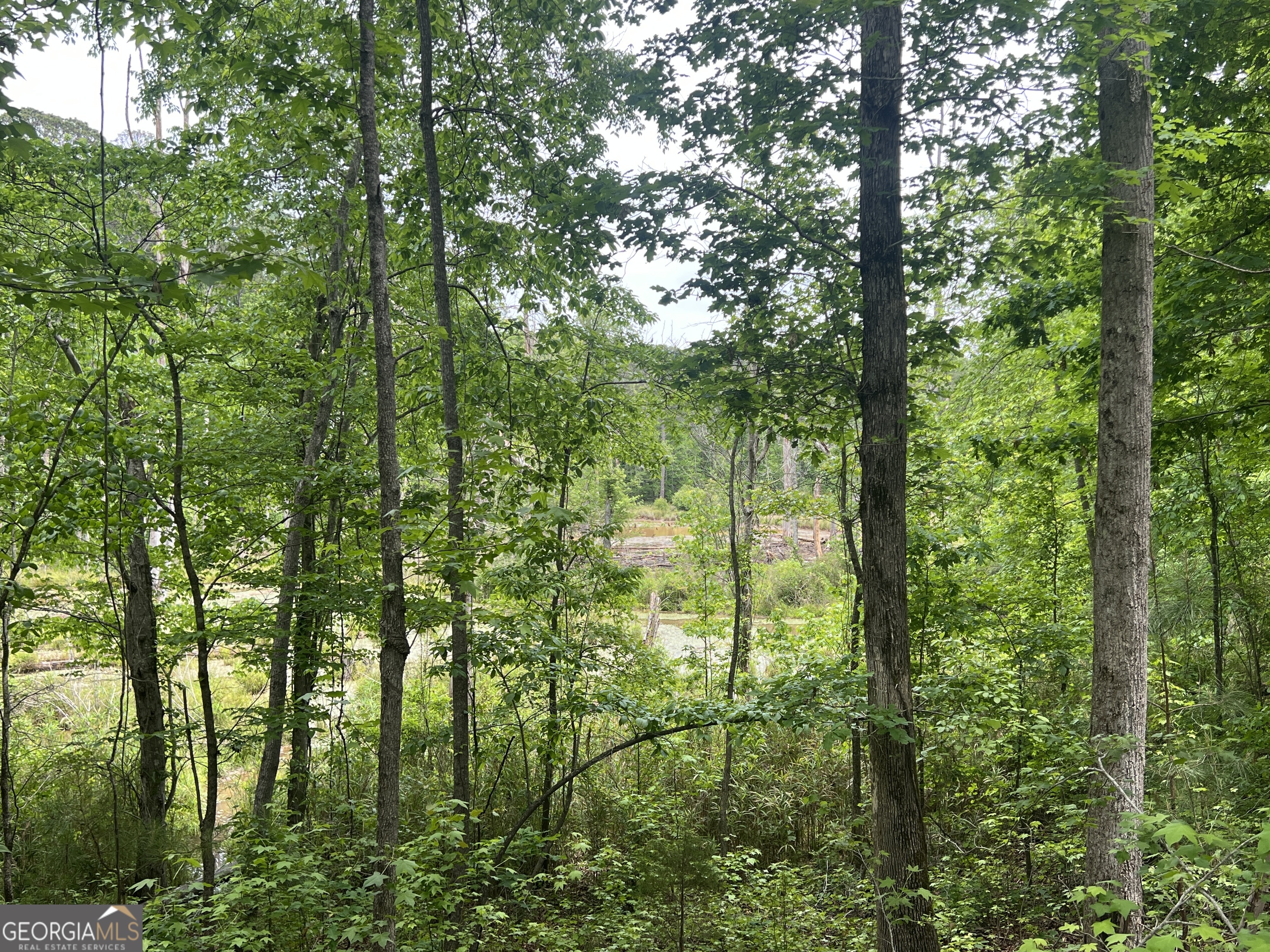 0 Bethlehem Church Road Grantville, GA 30220 - Photo 9 of 22