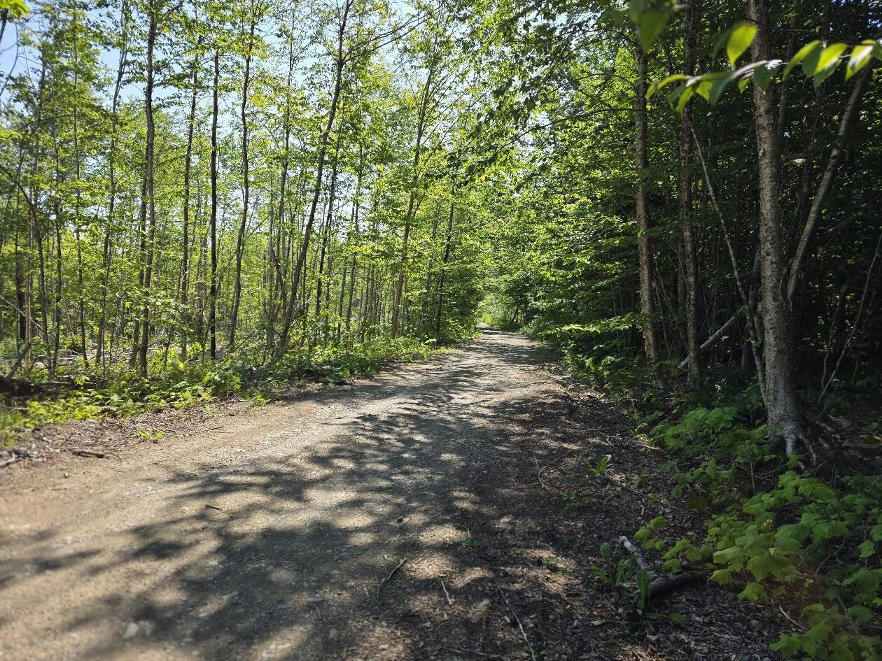 Lot 27 Williams Road Amity, ME 04471 - Photo 5 of 7 20260716_093618