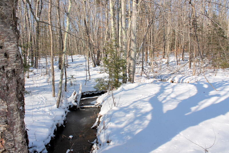 619 Middle Road Sabattus, ME 04280 - Photo 22 of 22 IMG_5101