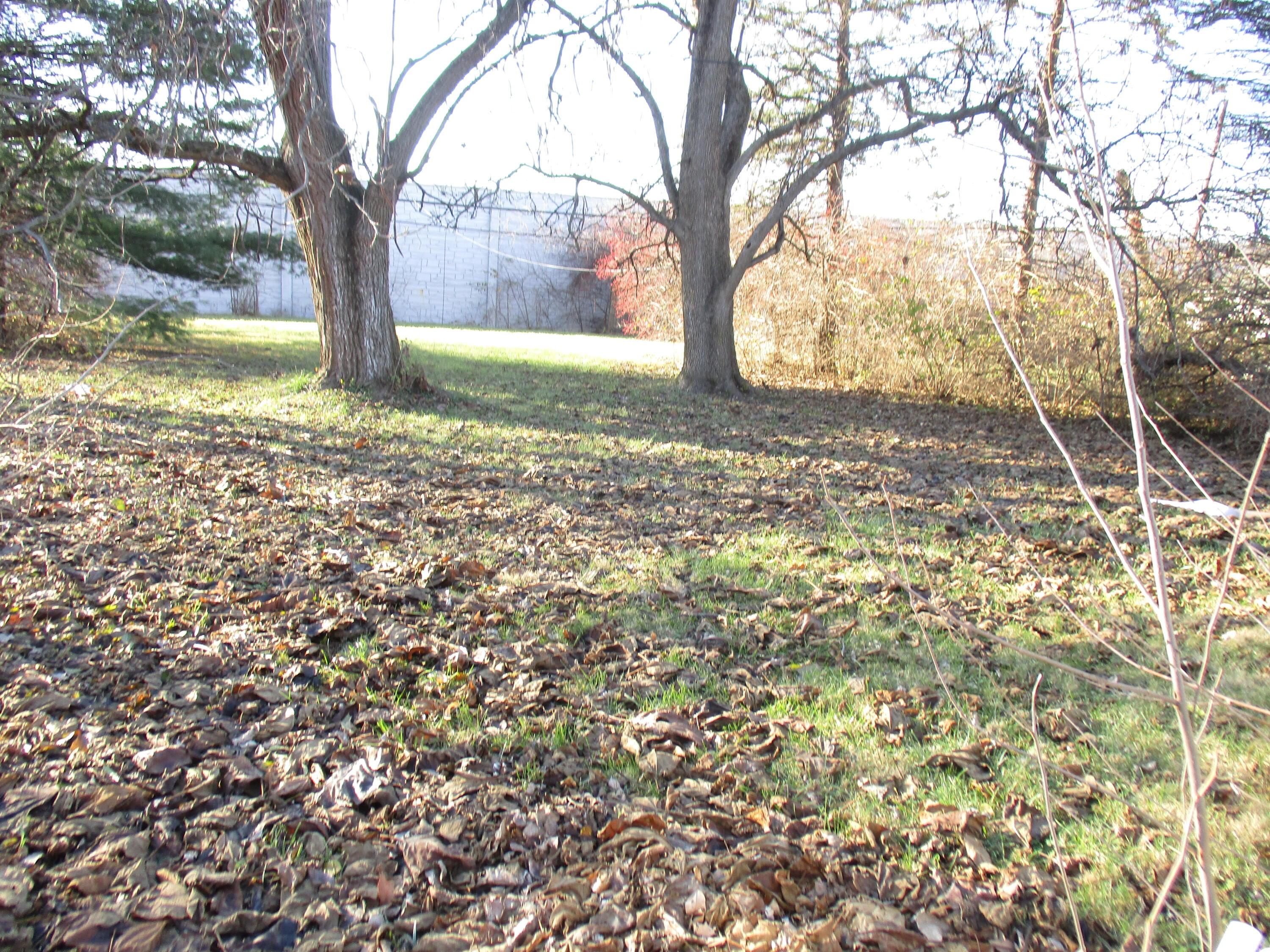 3733 Beulah Road Columbus, OH 43224 - Photo 3 of 13 Back yard