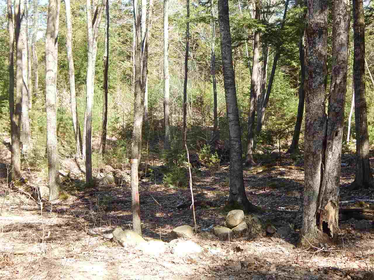 Candia Road, Unit 80 4 Deerfield, NH 03037 - Photo 1 of 8