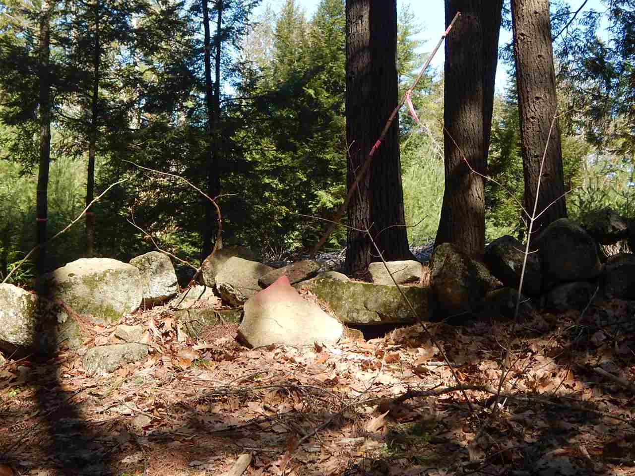 Candia Road, Unit 80 4 Deerfield, NH 03037 - Photo 6 of 8