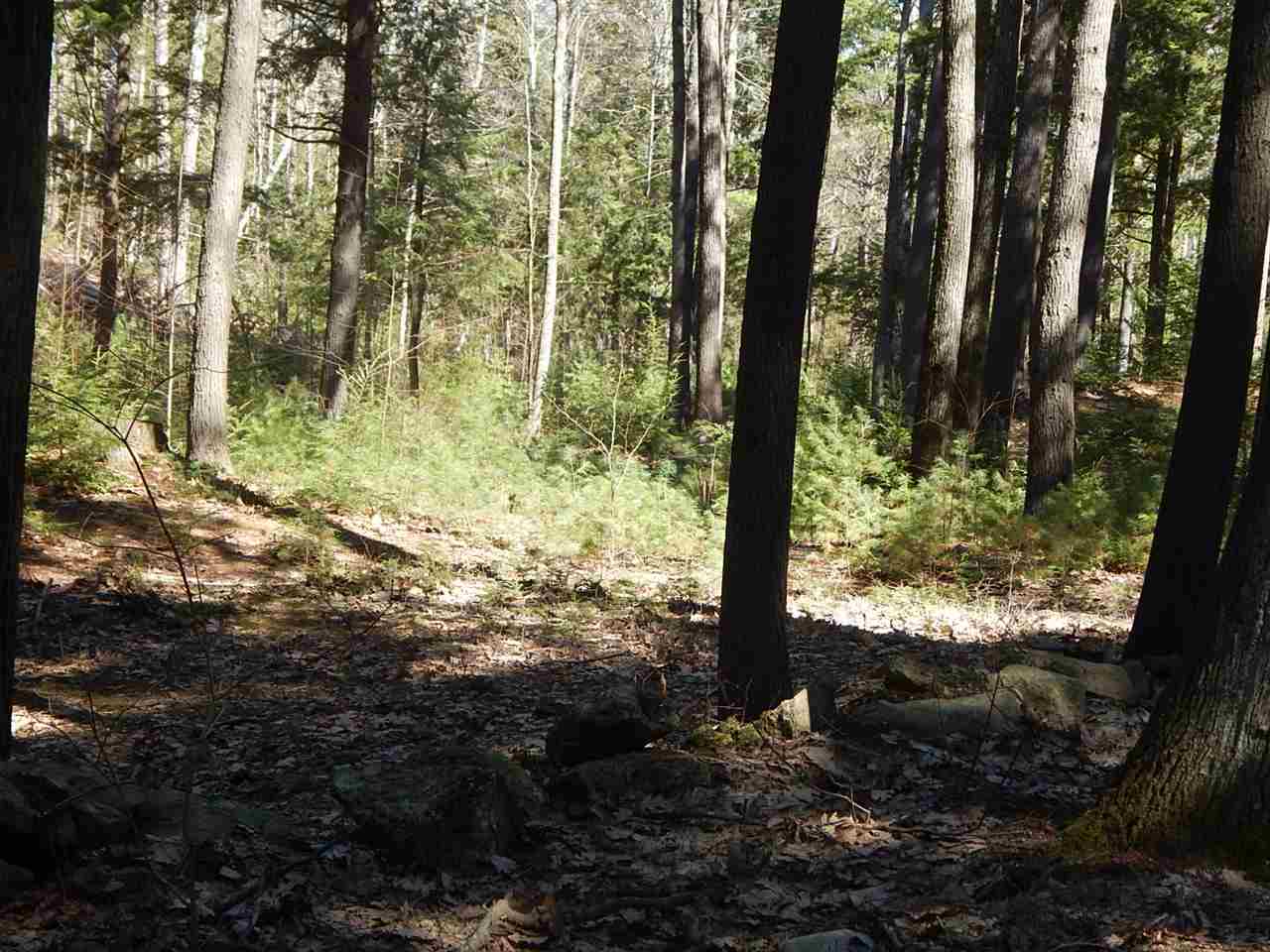 Candia Road, Unit 80 4 Deerfield, NH 03037 - Photo 7 of 8