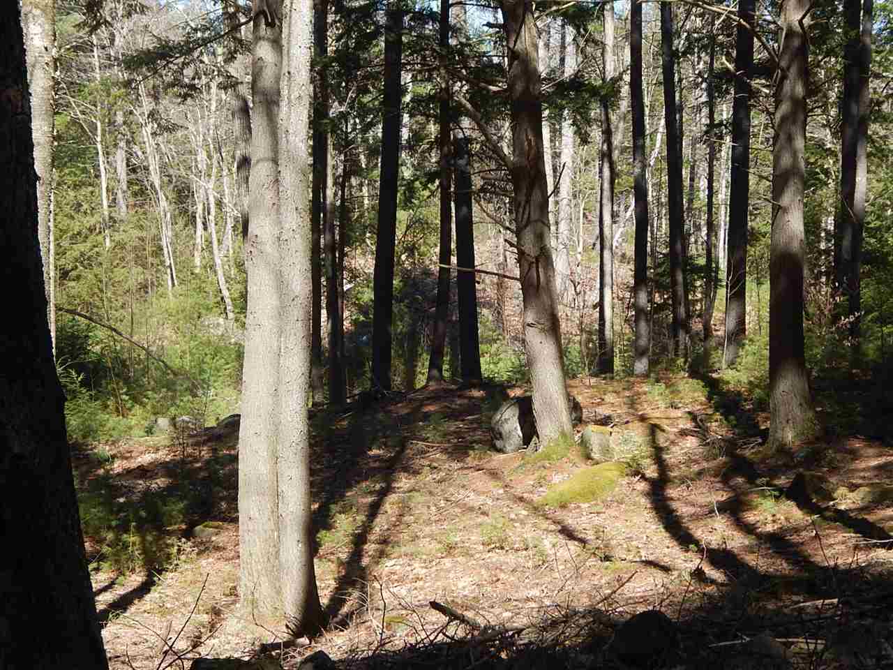 Candia Road, Unit 80 4 Deerfield, NH 03037 - Photo 8 of 8