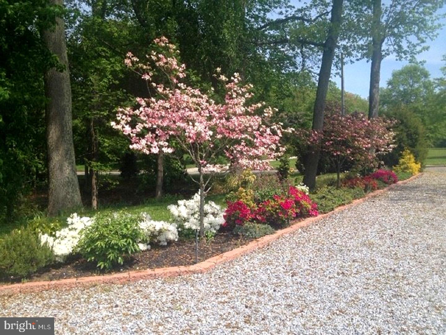 513 Sharp Drive Mickleton, NJ 08056 - Photo 19 of 27 Along the side of the driveway