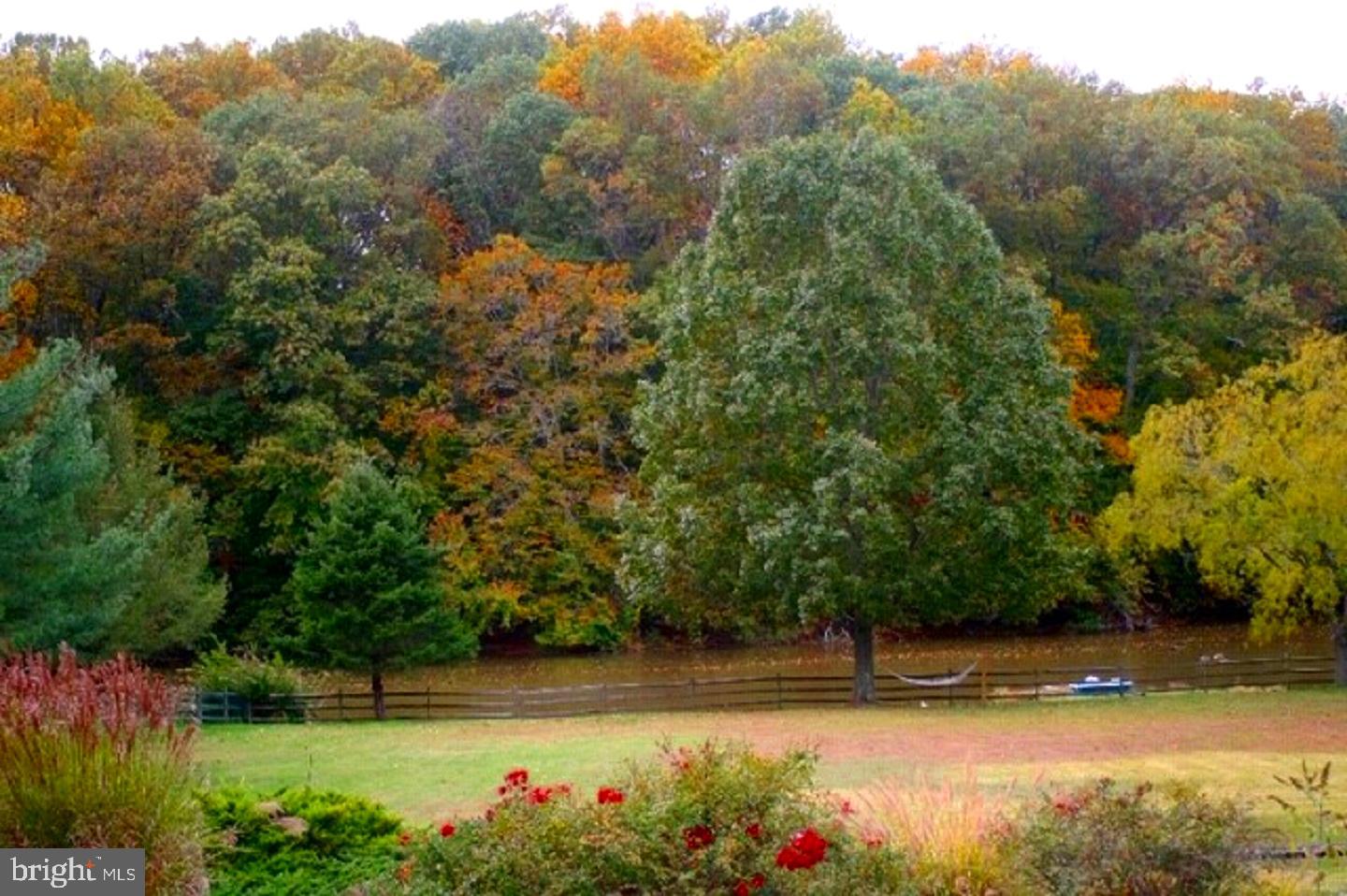 513 Sharp Drive Mickleton, NJ 08056 - Photo 25 of 27 Fall View