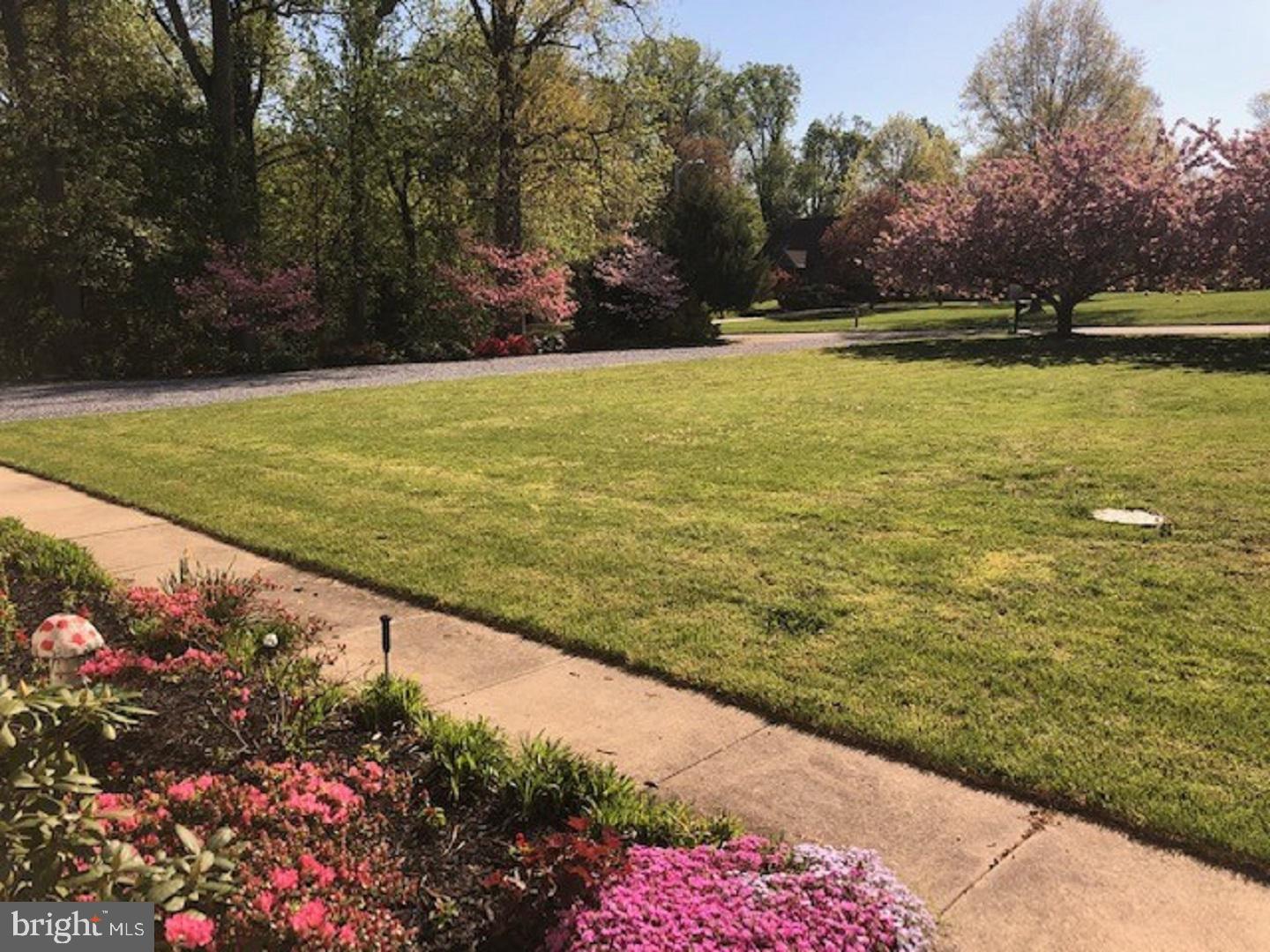 513 Sharp Drive Mickleton, NJ 08056 - Photo 6 of 27 View