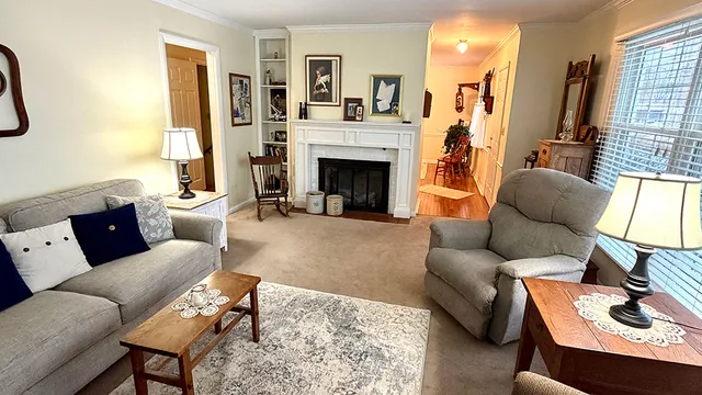 a living room with furniture and a fireplace