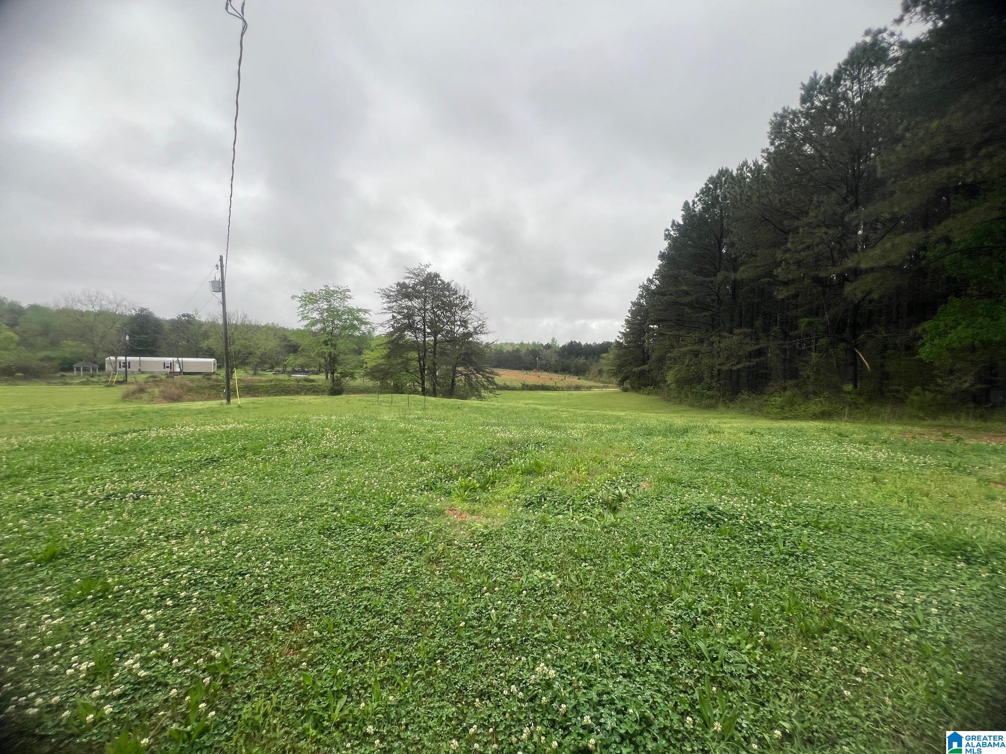 11970 Lost Road Berry, AL 35546 - Photo 28 of 32