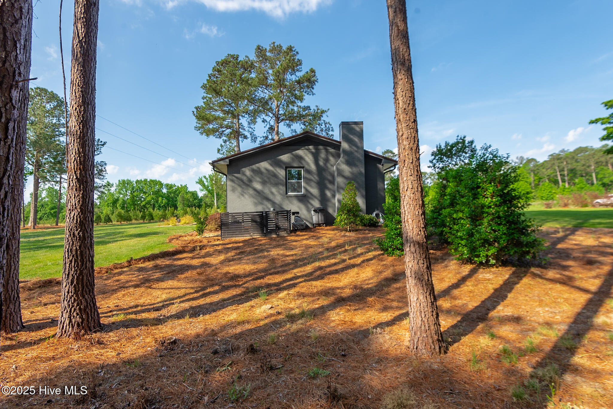 229 Rays Bridge Road Whispering Pines, NC 28327 - Photo 14 of 36 877DF49E-D4C0-401C-8AD8-C39BA97BFA08