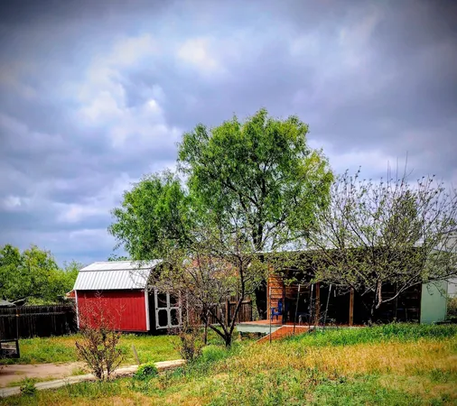 a view of a big yard with plants and large trees
