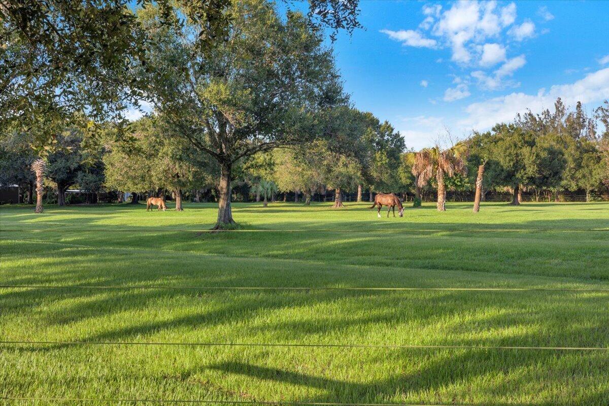 8505 Immokolee Road Fort Pierce, FL 34951 - Photo 77 of 99 082-GG3A5512