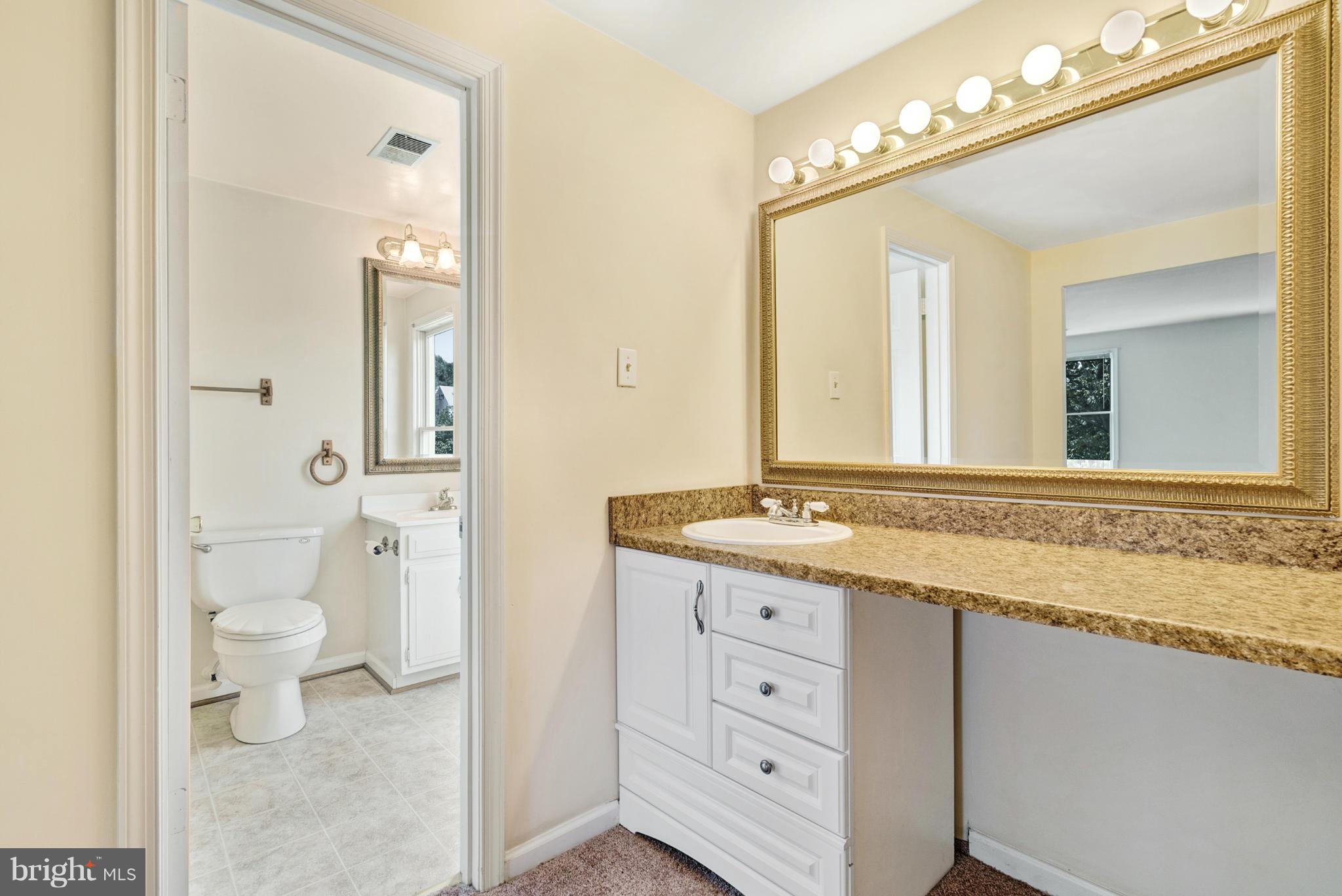 37217 Jeb Stuart Road Purcellville, VA 20132 - Photo 21 of 30 Bath (Master)