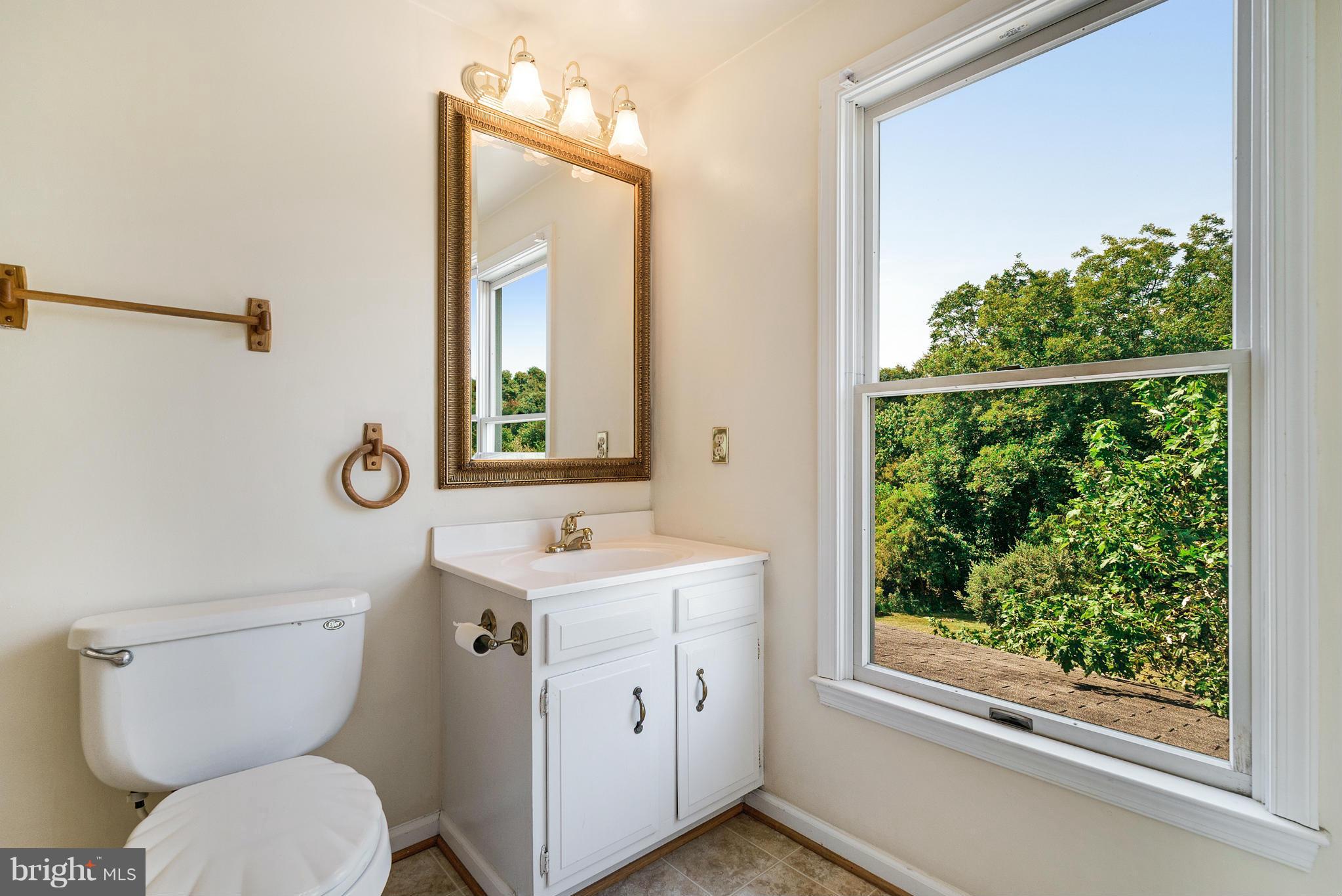 37217 Jeb Stuart Road Purcellville, VA 20132 - Photo 23 of 30 Bath (Master)