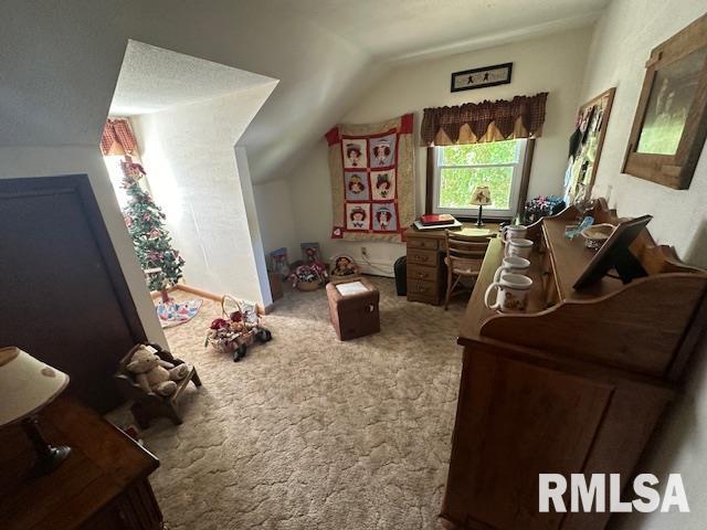 13989 Cutler Street Benton, IL 62812 - Photo 11 of 39 Gallery Image 11