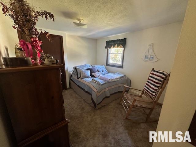 13989 Cutler Street Benton, IL 62812 - Photo 13 of 39 Gallery Image 13