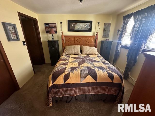 13989 Cutler Street Benton, IL 62812 - Photo 17 of 39 Gallery Image 17