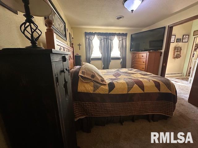 13989 Cutler Street Benton, IL 62812 - Photo 9 of 39 Gallery Image 9