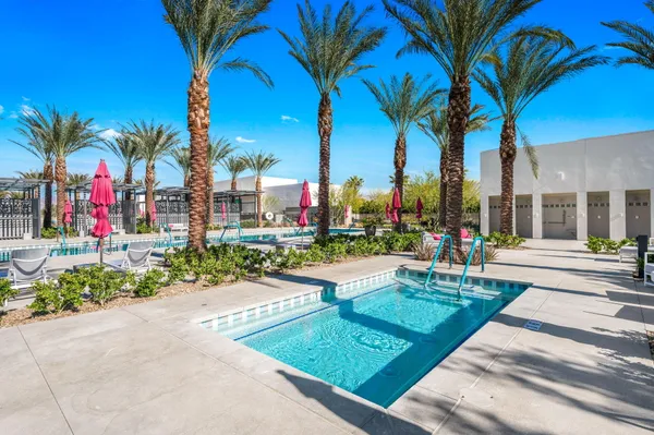 a view of a park with palm trees