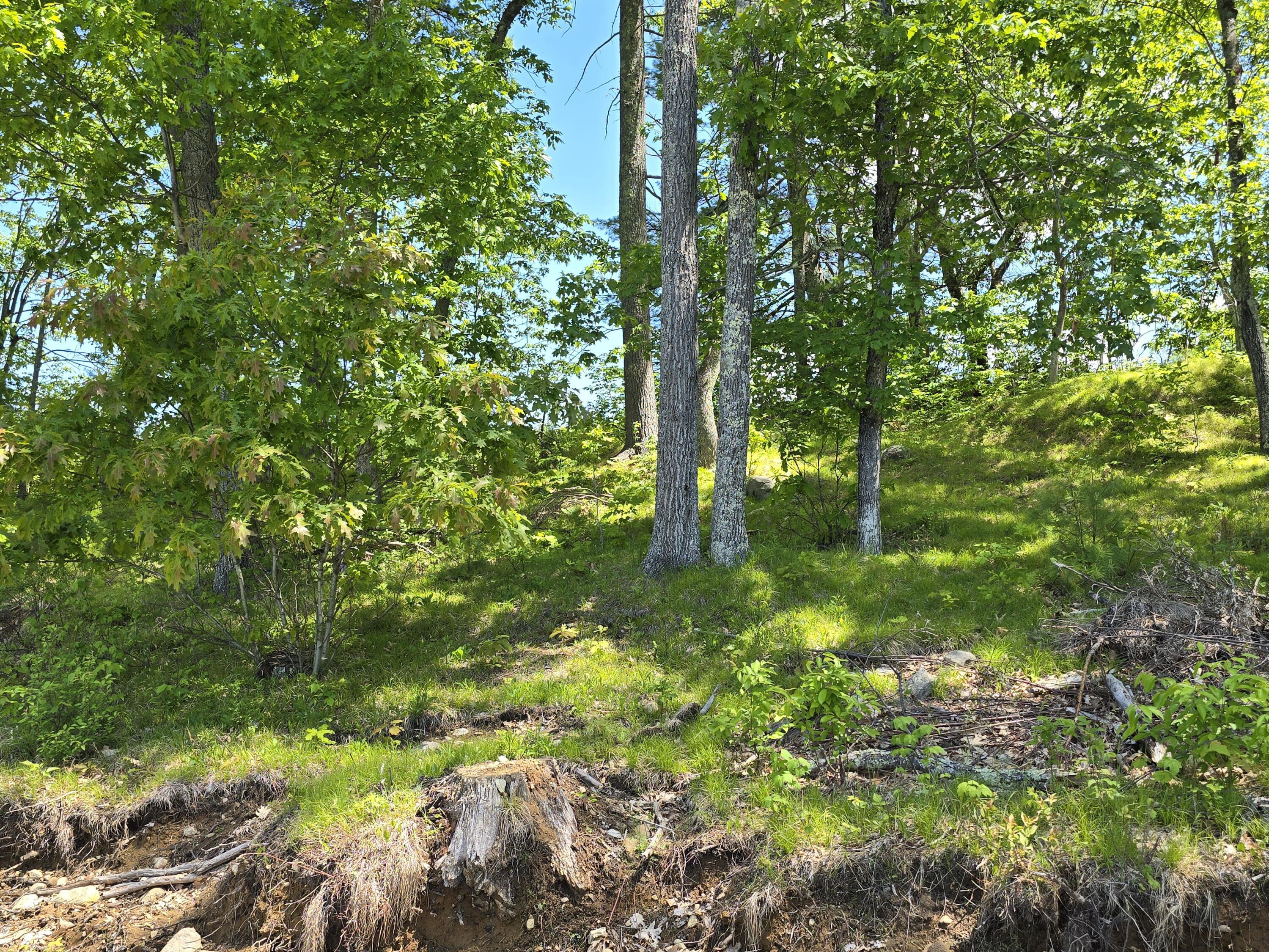 Lot 55 Quaker Ridge Road Casco, ME 04015 - Photo 12 of 13 1000014387