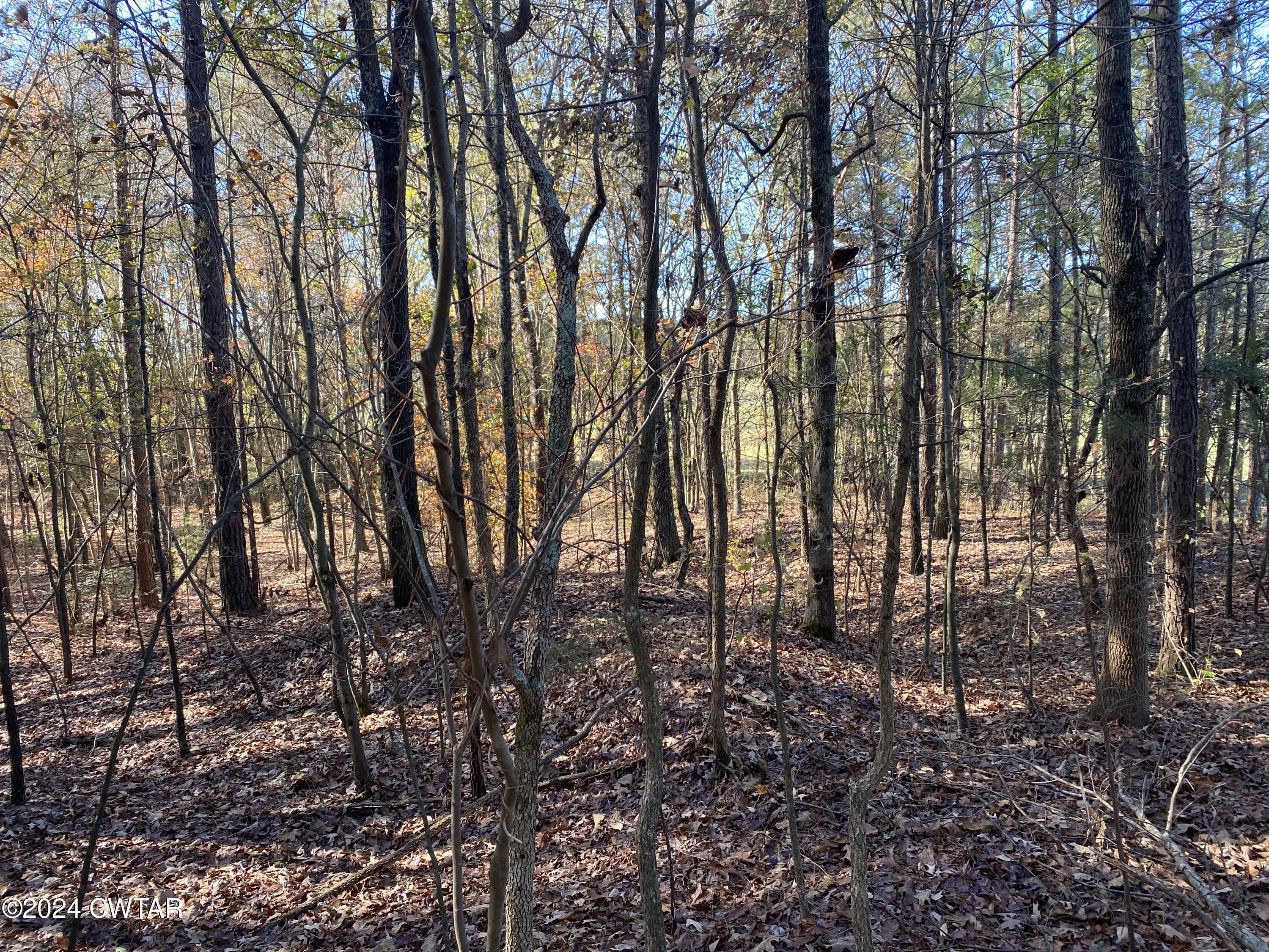 0 McCaney Mill Road Lexington, TN 38351 - Photo 10 of 15 IMG_5175