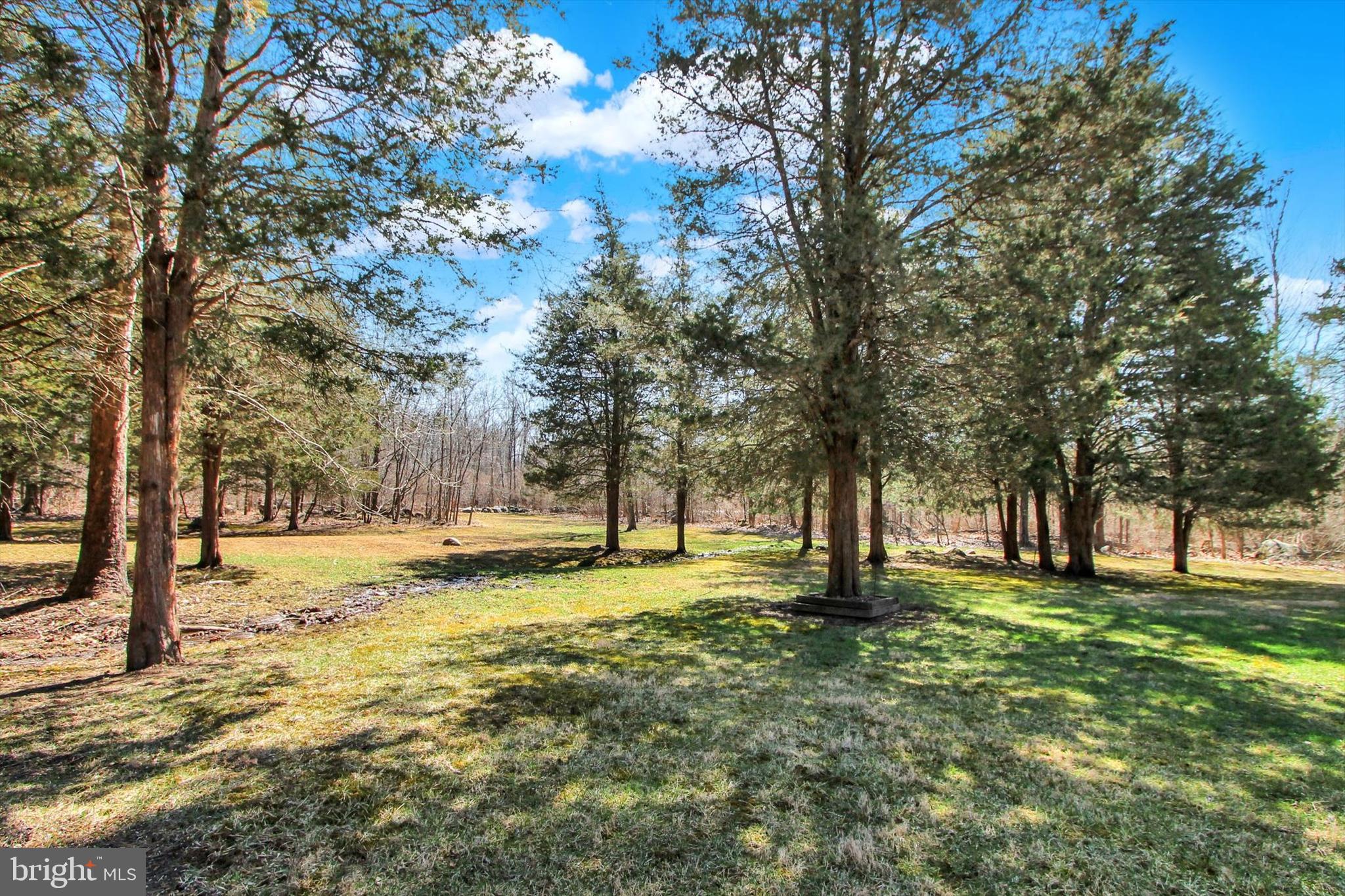 971 McGlaughlin Road Fairfield, PA 17320 - Photo 37 of 57 a view of a yard with a tree