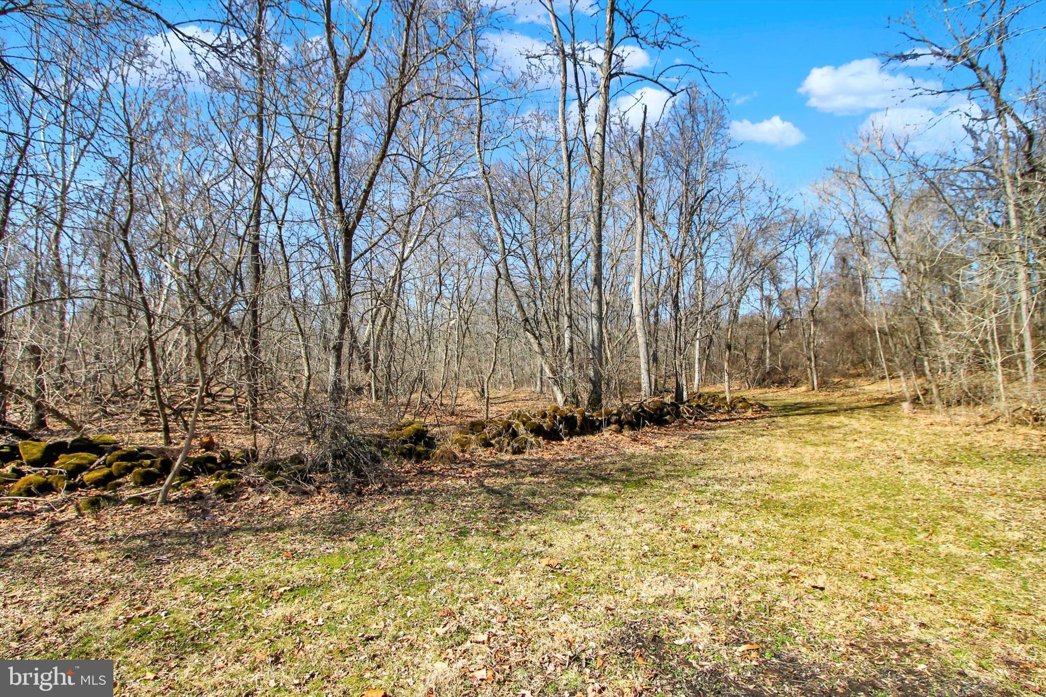 971 McGlaughlin Road Fairfield, PA 17320 - Photo 39 of 57