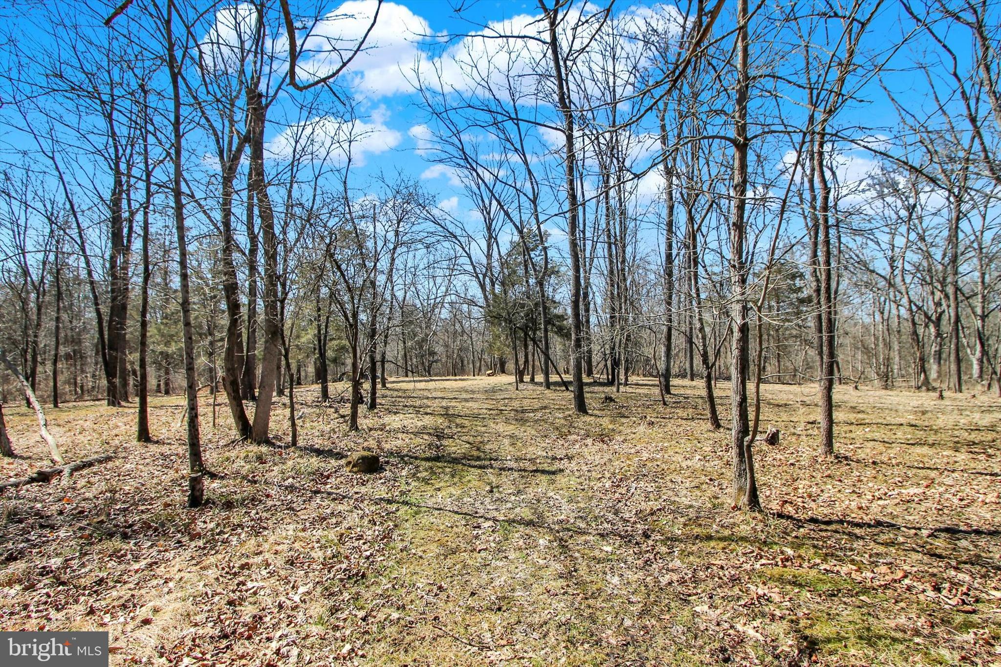971 McGlaughlin Road Fairfield, PA 17320 - Photo 43 of 57 a view of a yard with a tree