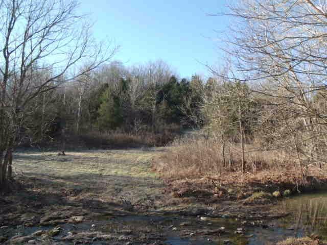 1600 Culpepper Road Corinth, KY 41010 - Photo 6 of 9 Photo 6