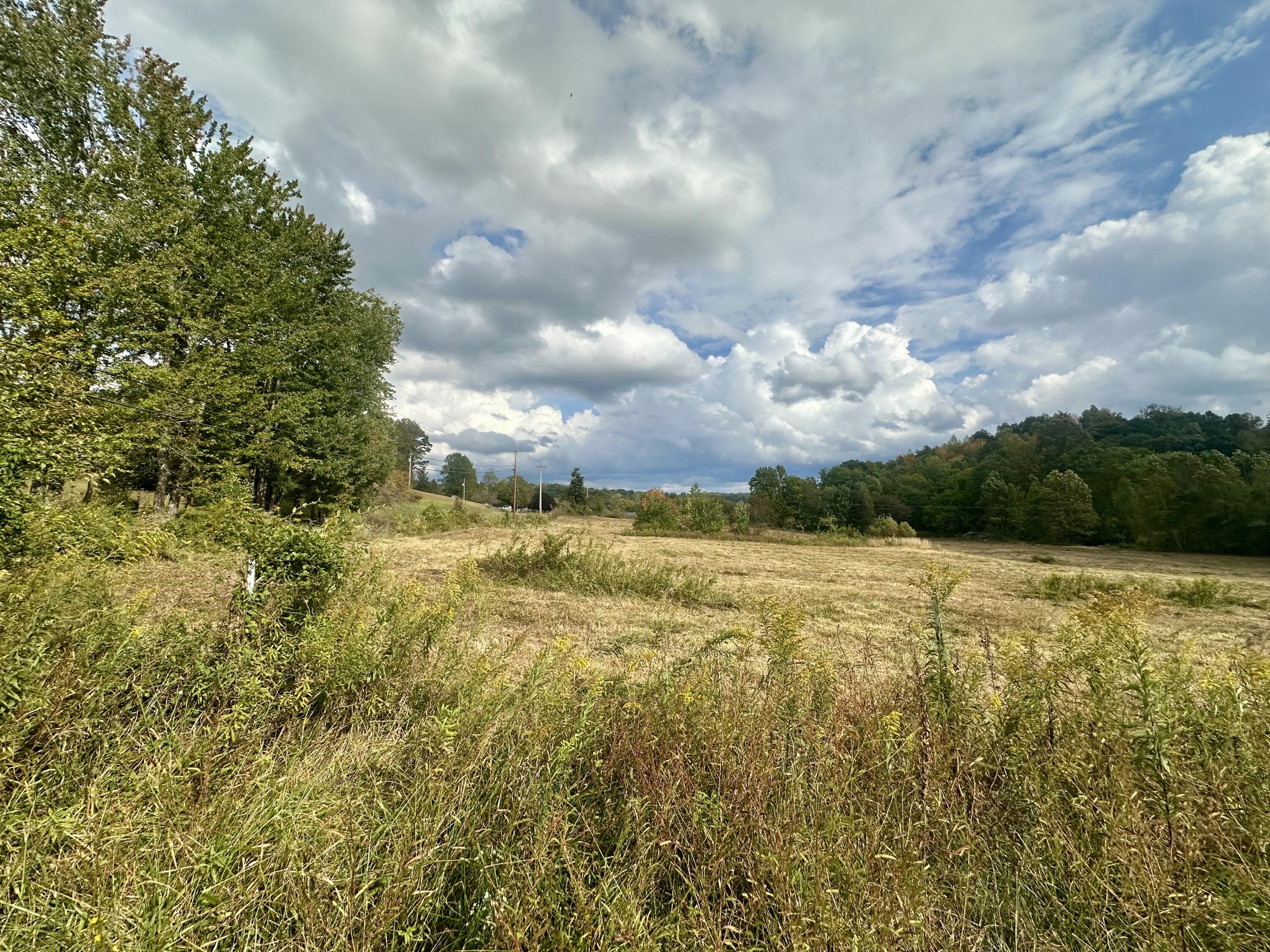1073 Old Way Road London, KY 40741 - Photo 31 of 35 CLEARED FIELDS