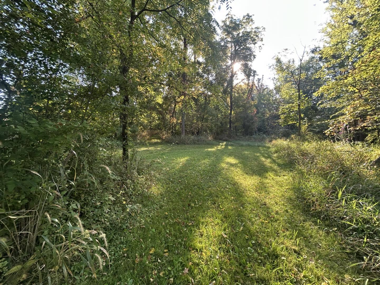 0 Moscow Road Jerome, MI 49249 - Photo 3 of 15 mos3