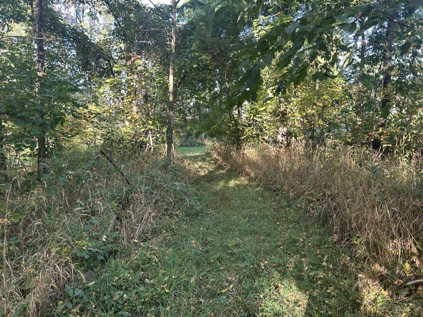 0 Moscow Road Jerome, MI 49249 - Photo 6 of 15 mos6