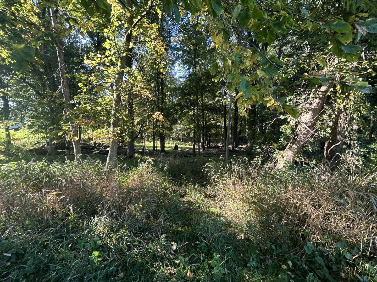 0 Moscow Road Jerome, MI 49249 - Photo 8 of 15 mos8