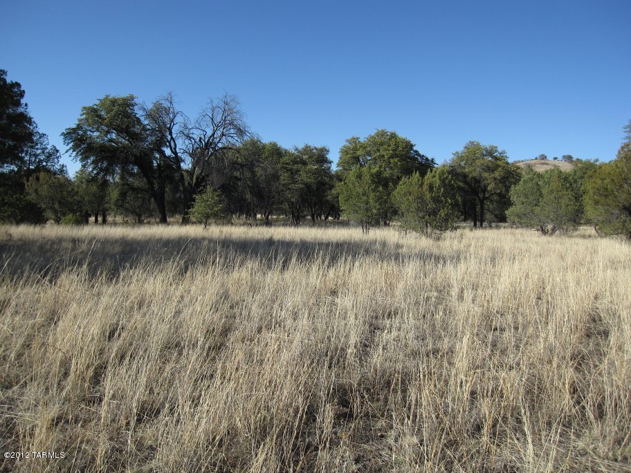 South Lyle Canyon Road, Unit 12C Elgin, AZ 85611 - Photo 1 of 4