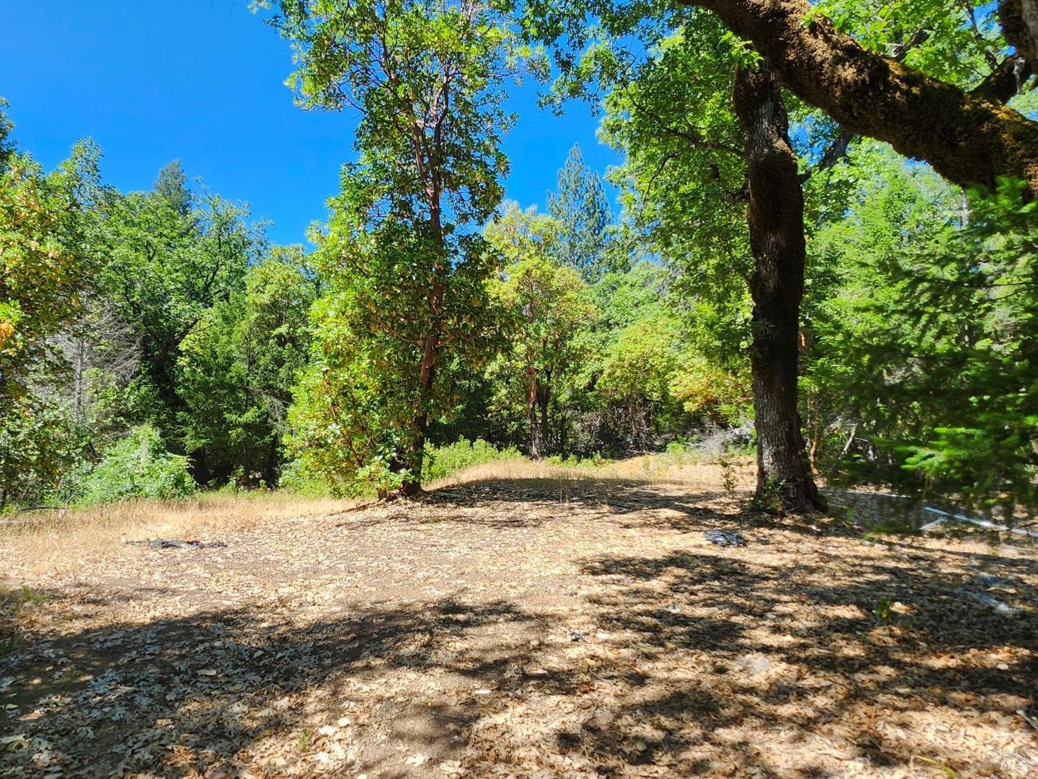 22551 Rifle Range Road Covelo, CA 95428 - Photo 19 of 24