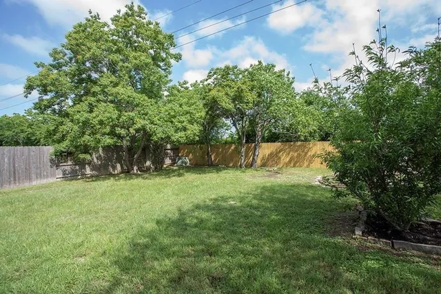 a view of a yard with a tree