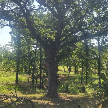 $164,000 | 4112 Vista Oak Drive, Royse City, TX 75189