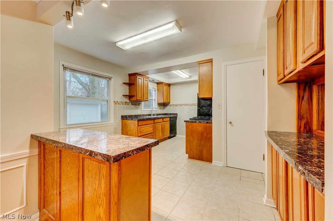 1163 Haselton Road Cleveland Heights, OH 44121 - Photo 6 of 34 Kitchen
