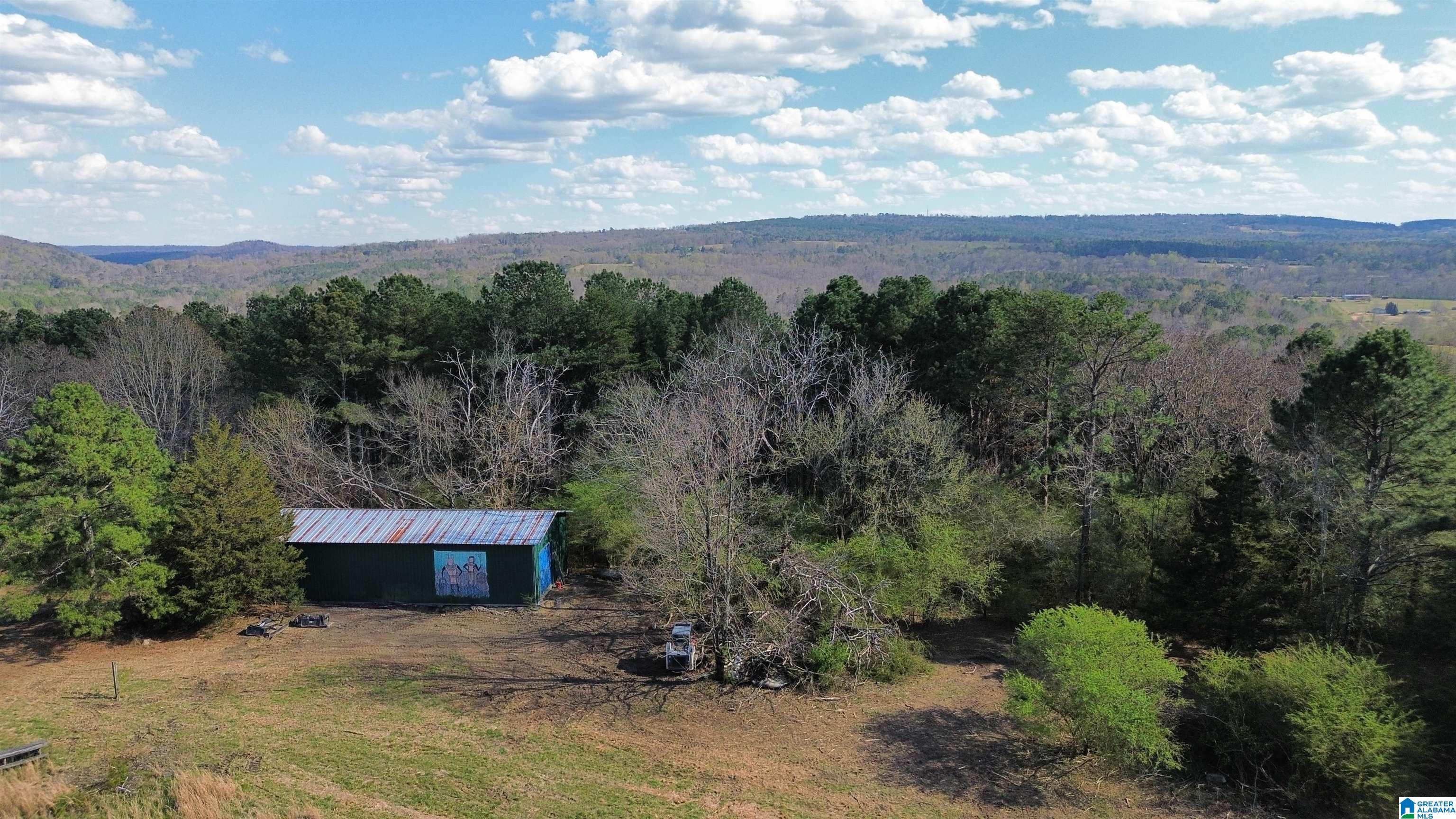 1810 King Road, Unit 12 Oneonta, AL 35121 - Photo 3 of 14 Gallery Image 3