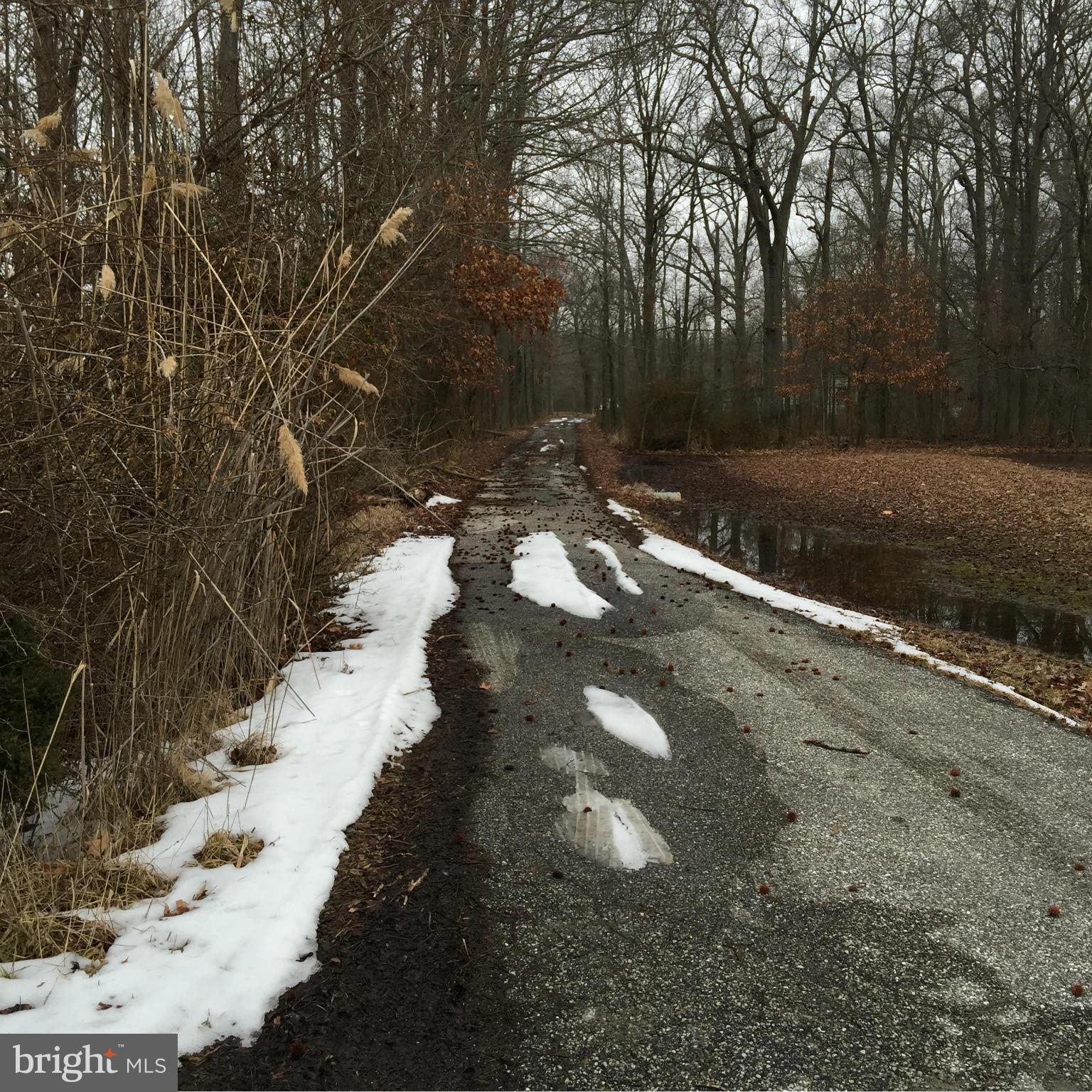 1402 Dent Road Shady Side, MD 20764 - Photo 10 of 10 Private Entrance into 7.3 Acres