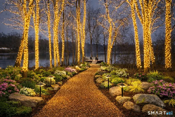 a view of a pathway with the garden