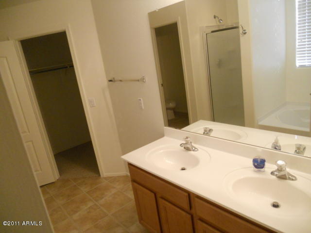 7325 West Darrel Road Laveen, AZ 85339 - Photo 5 of 12 Master Bath