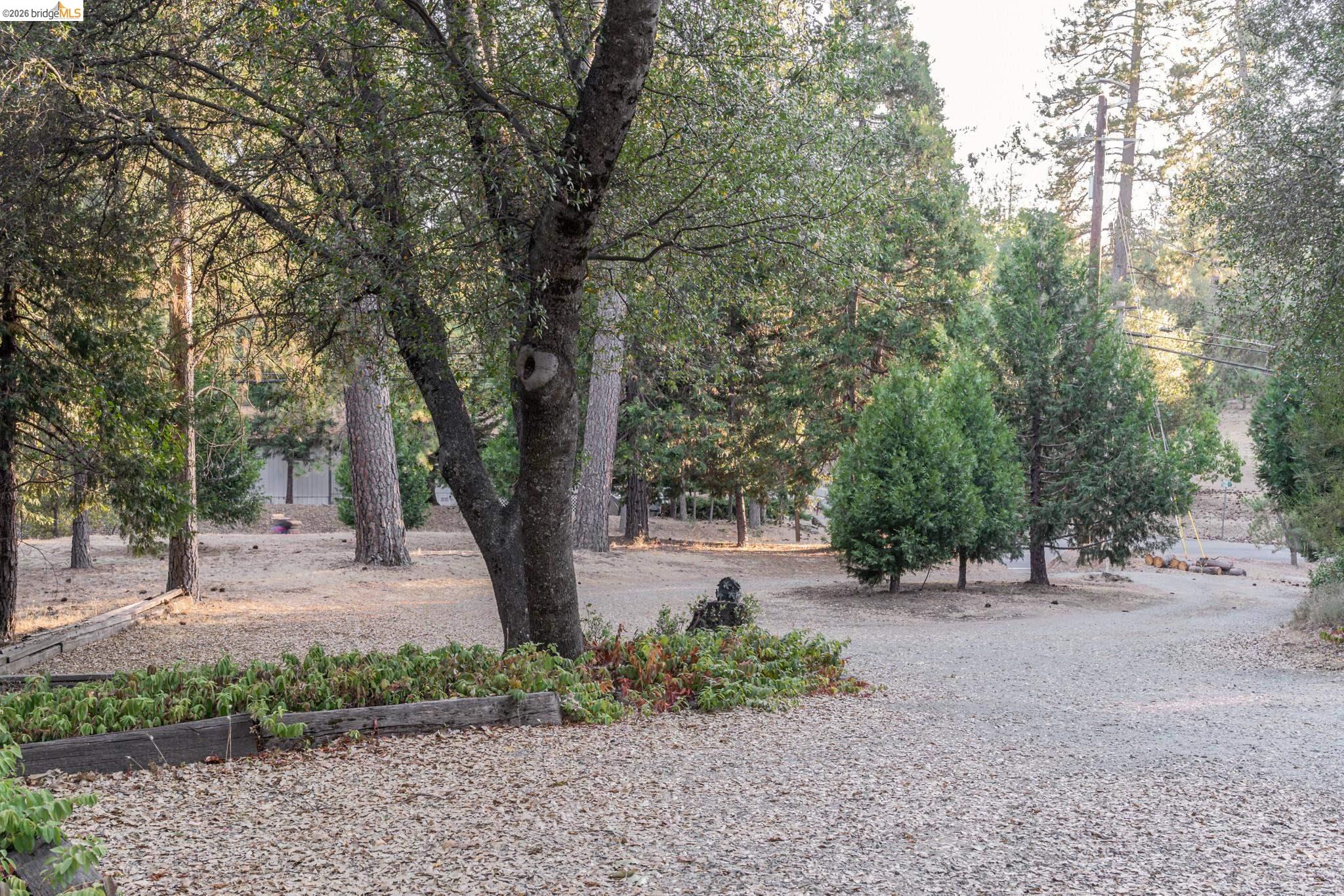 19390 Ferretti Road Groveland, CA 95321 - Photo 35 of 38 Gravel driveway with surrounding mature trees and natural landscaping