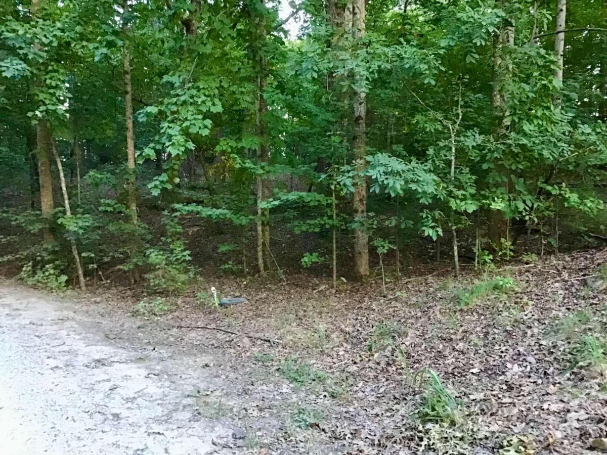 0 Ridge Lane Lula, GA 30554 - Photo 1 of 1 a view of outdoor space and trees