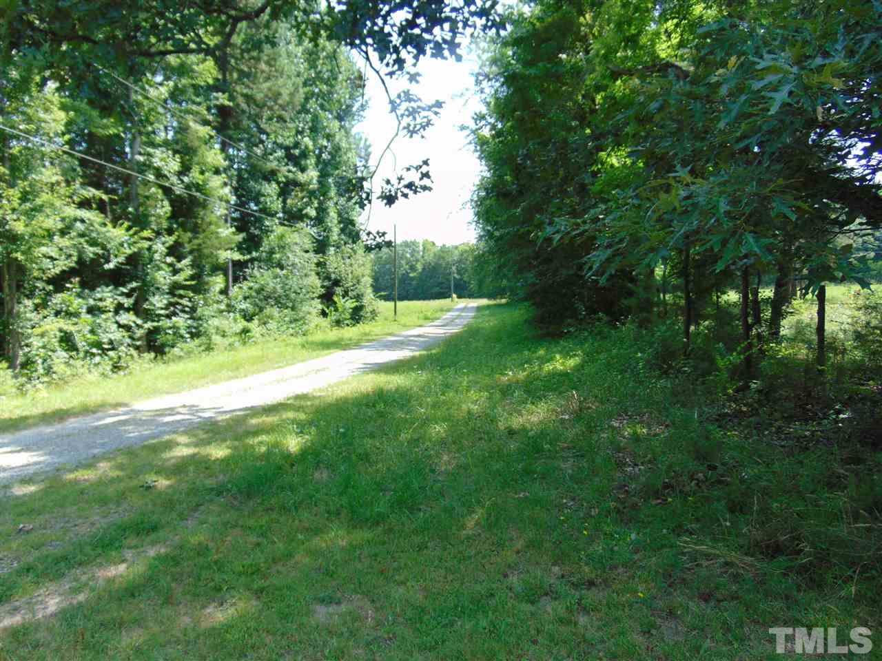 0 Cow Road Buffalo Junction, VA 24529 - Photo 3 of 3 Gallery Image 3