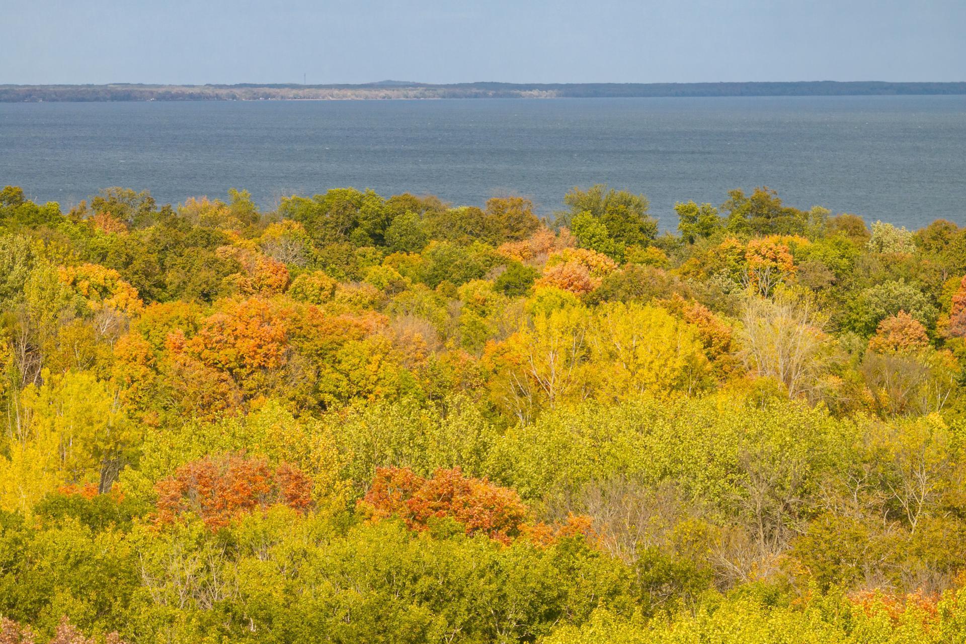 47774 Xylophone Road Garrison, MN 56450 - Photo 26 of 33