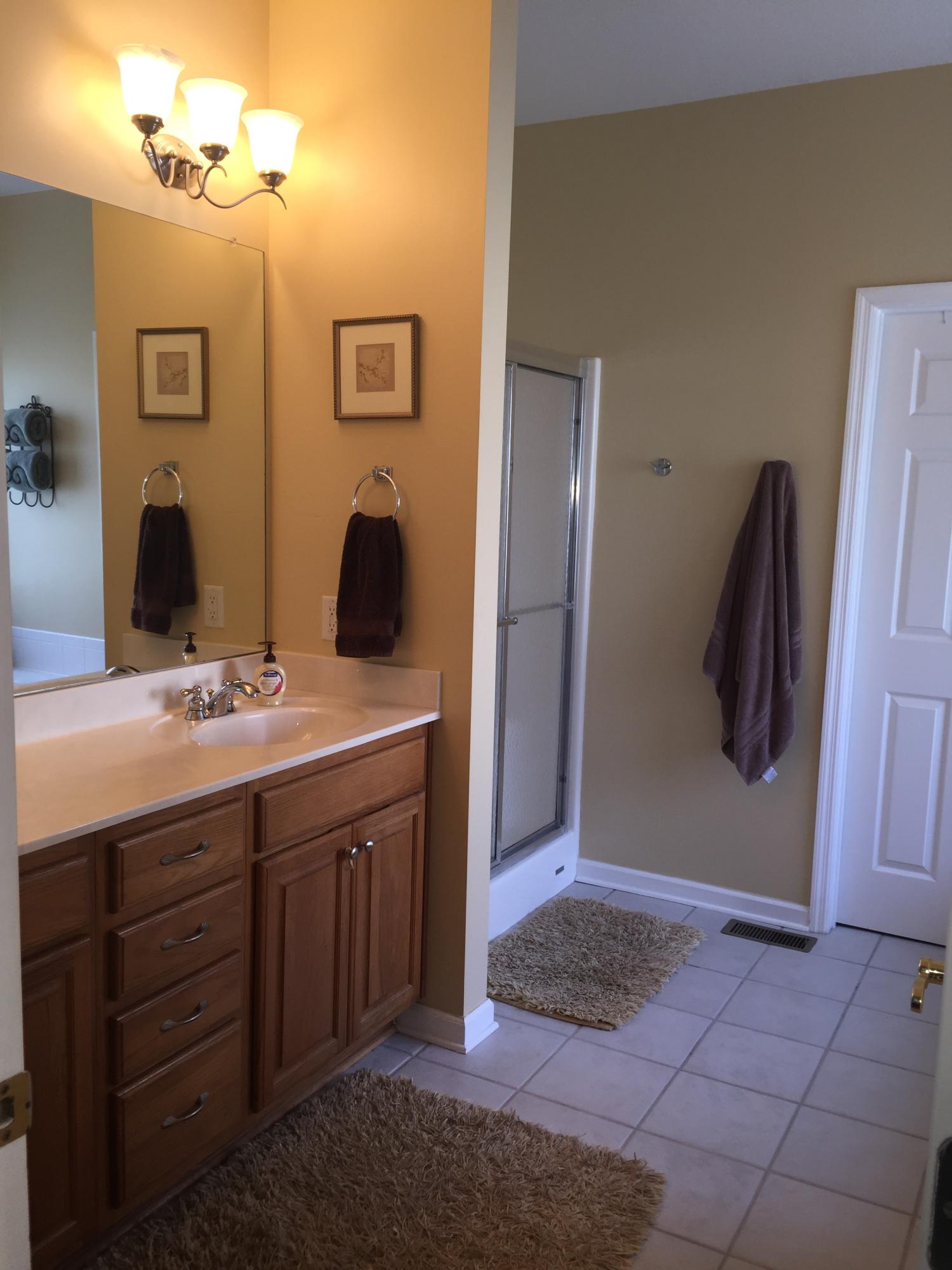 7130 Houser Ridge Lane Hixson, TN 37343 - Photo 21 of 31 Master Bath