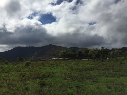 68 H Ninaulia Road Kapaa, HI 96746 - Photo 12 of 14 a view of outdoor space and mountain view