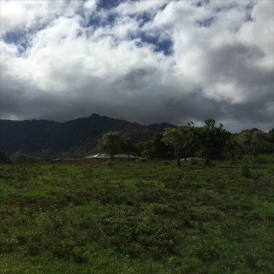 68 H Ninaulia Road Kapaa, HI 96746 - Photo 14 of 14